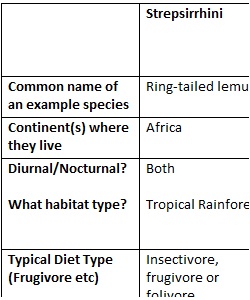 Week 2 & 3 - Primate Traits Comparison Table